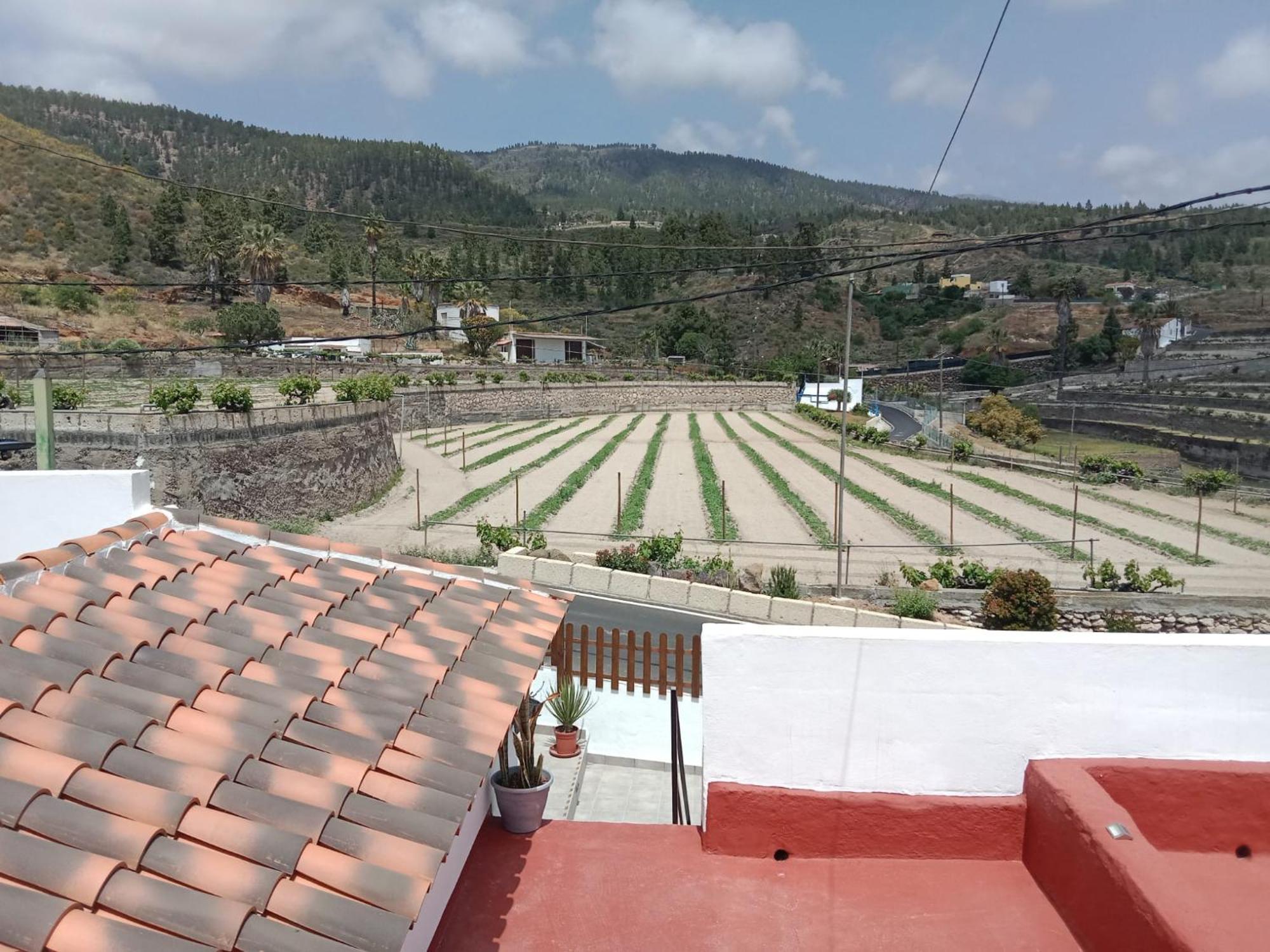 Casa El Escano Granadilla De Abona Bagian luar foto